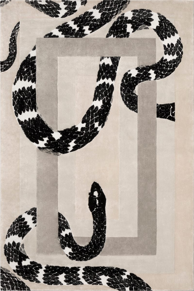 Rugs for all Divisions - Explore Your New Predilection