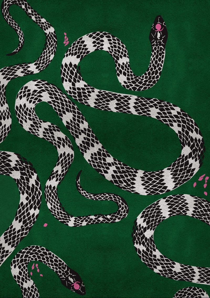 Editor’s Choice - Discover Our Most Innovative and Creative Rugs
