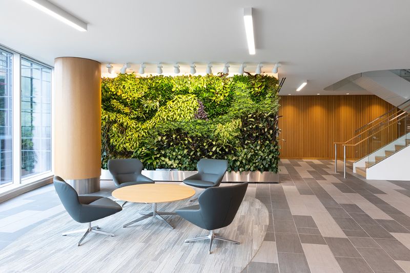 Kasian, The Best Rugs for Contract Projects