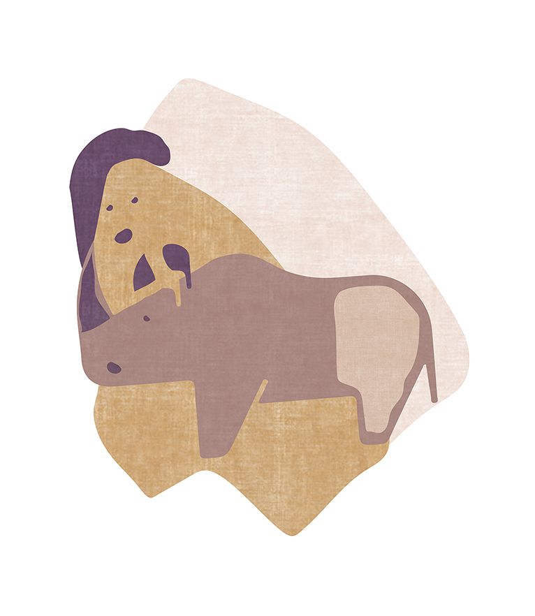 mr-rhino-bedroom area rug