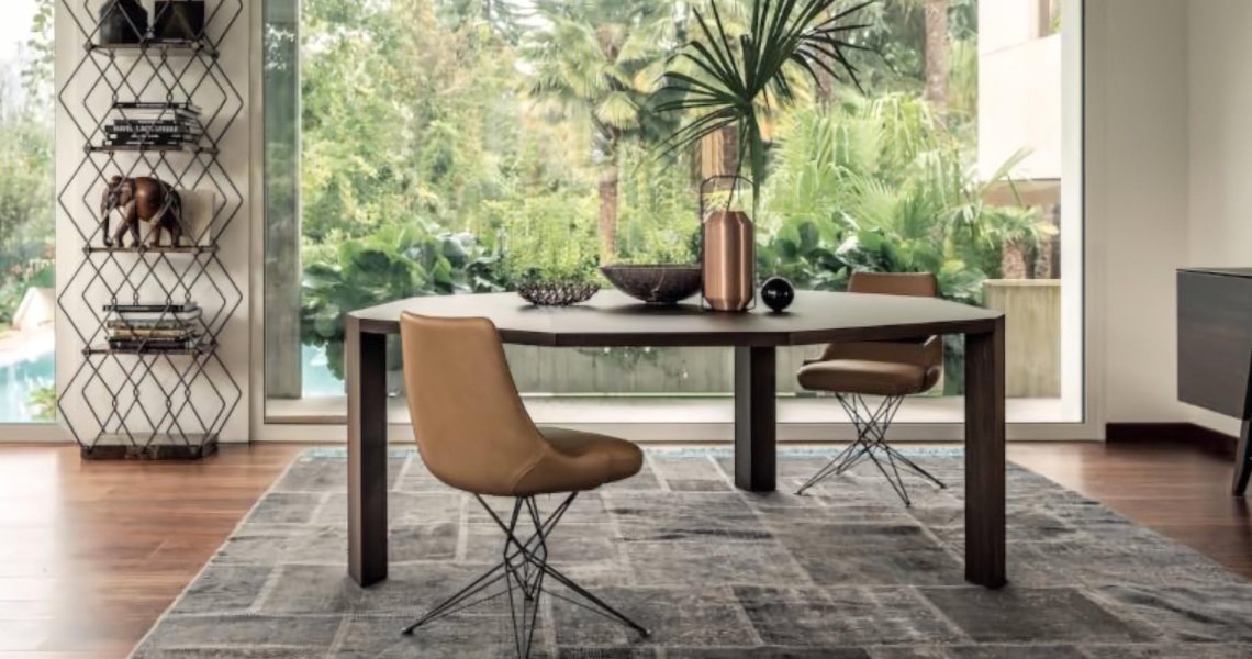 dasha interior design