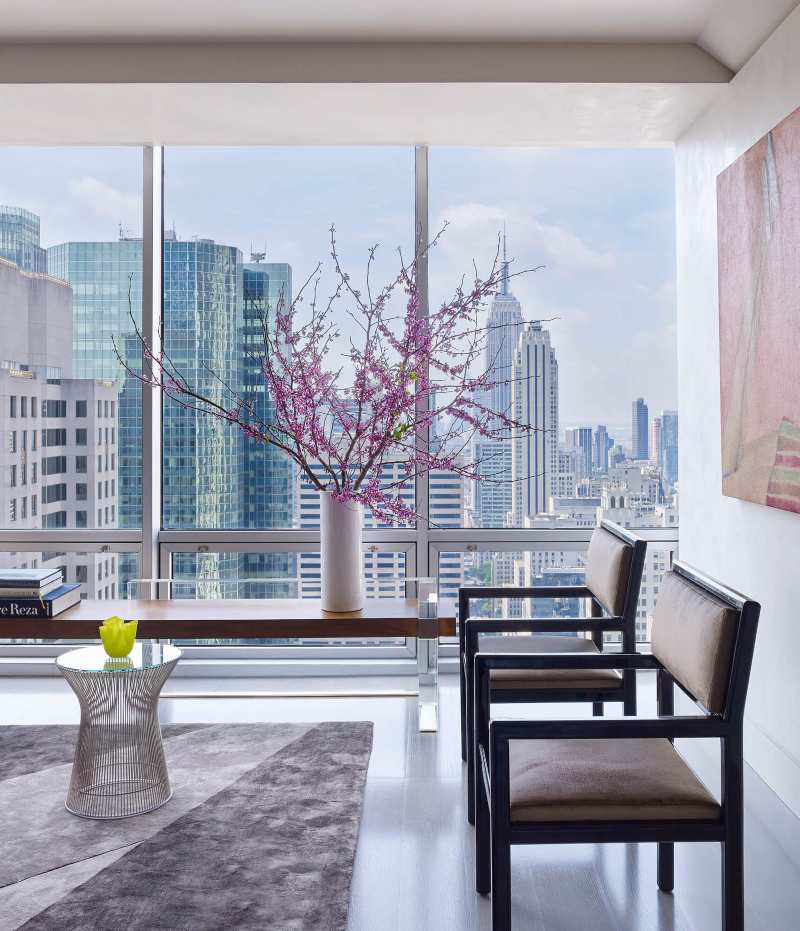 Rafael de Cárdenas, pink living room, pink plant, New York view