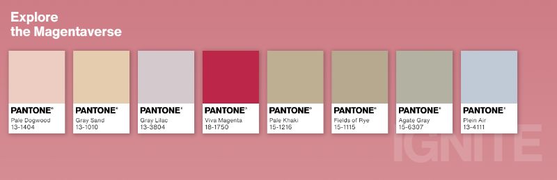 Color Of The Year 2023: Viva Magenta!