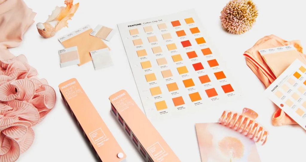 Peach Fuzz 13-1023 - The Pantone Color Of The Year 2024