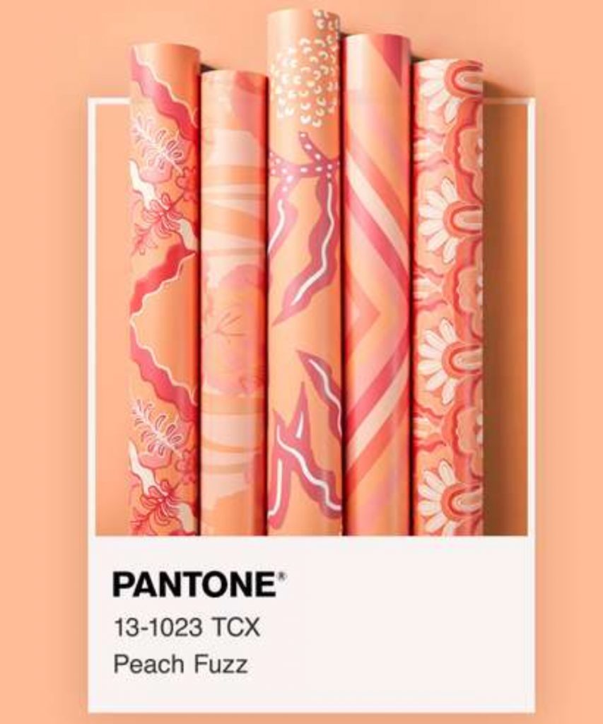 Peach Fuzz 13-1023 - The Pantone Color Of The Year 2024