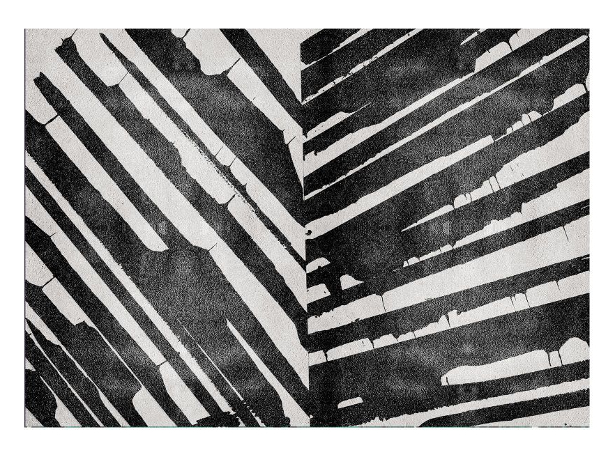 Palm Rug - Create Your Dream Home With Rug'Society, One Room At a Time