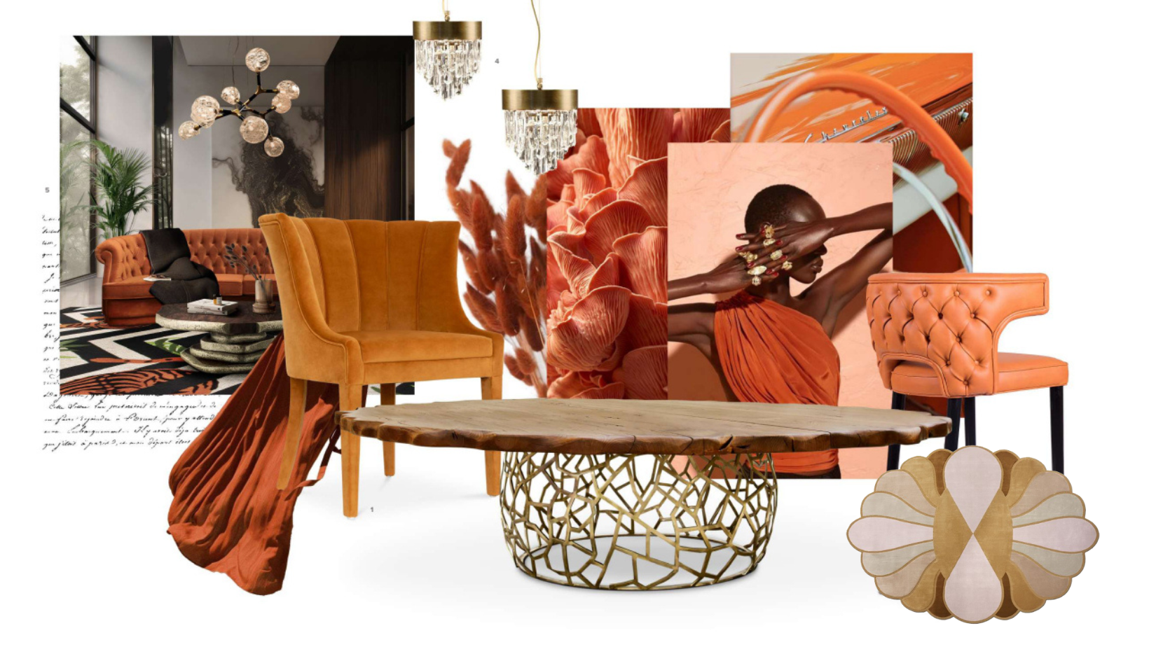 Uncover the Artistry of Apricot Crush With Unique and Contemporary Rugs