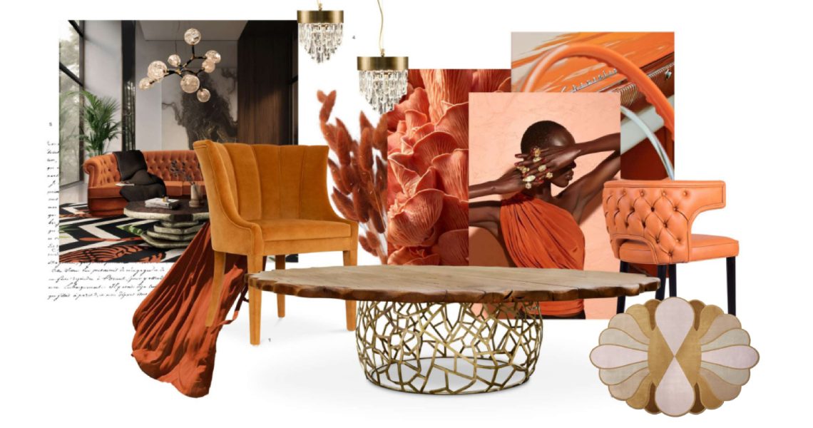 Uncover the Artistry of Apricot Crush With Unique and Contemporary Rugs