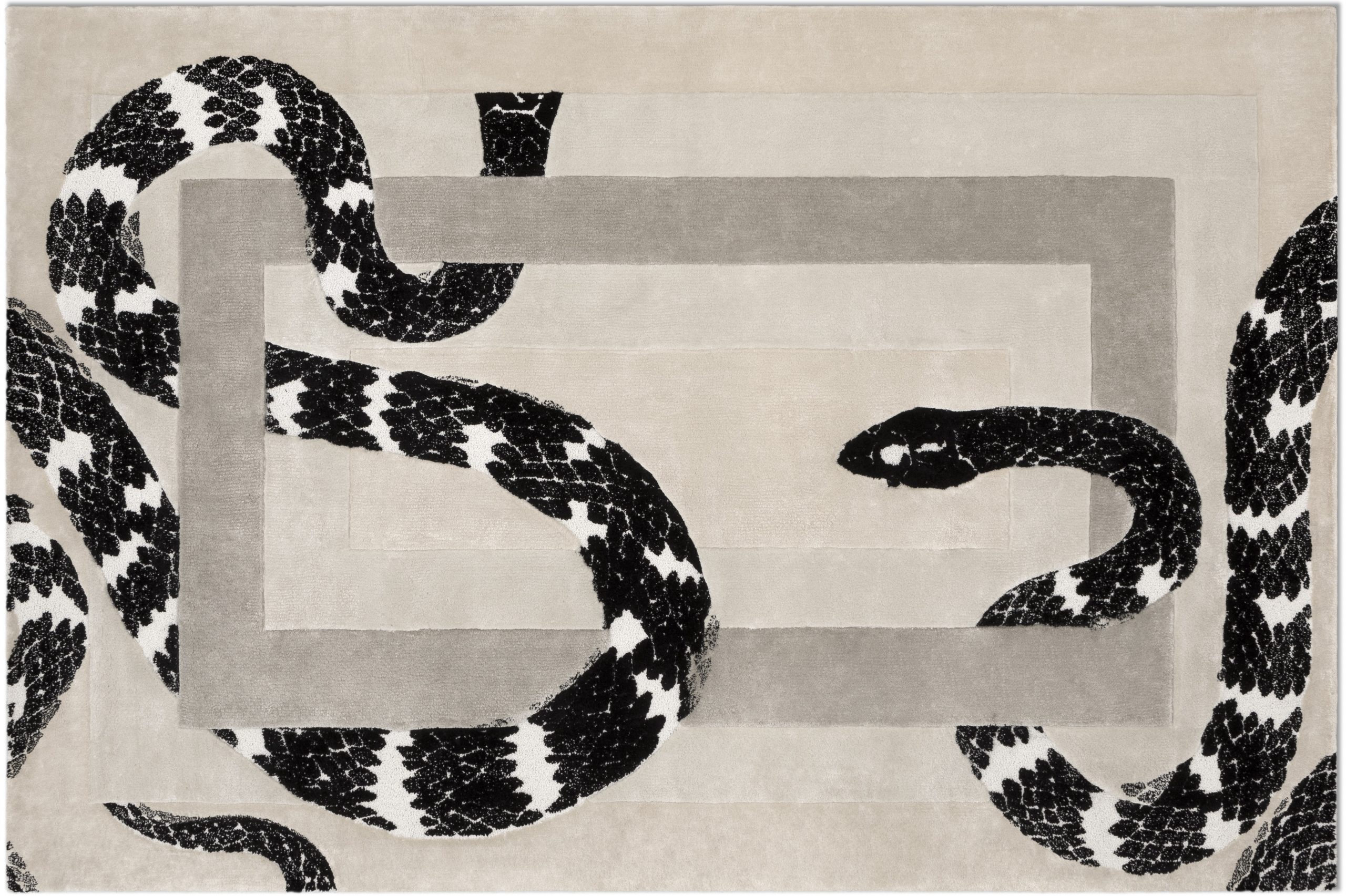 5 Statement Rugs to Transform Your Home