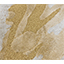 Fortuna Rug by Rug'Society
