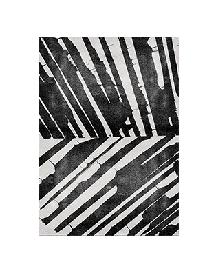 Palm Rug by Rug'Society