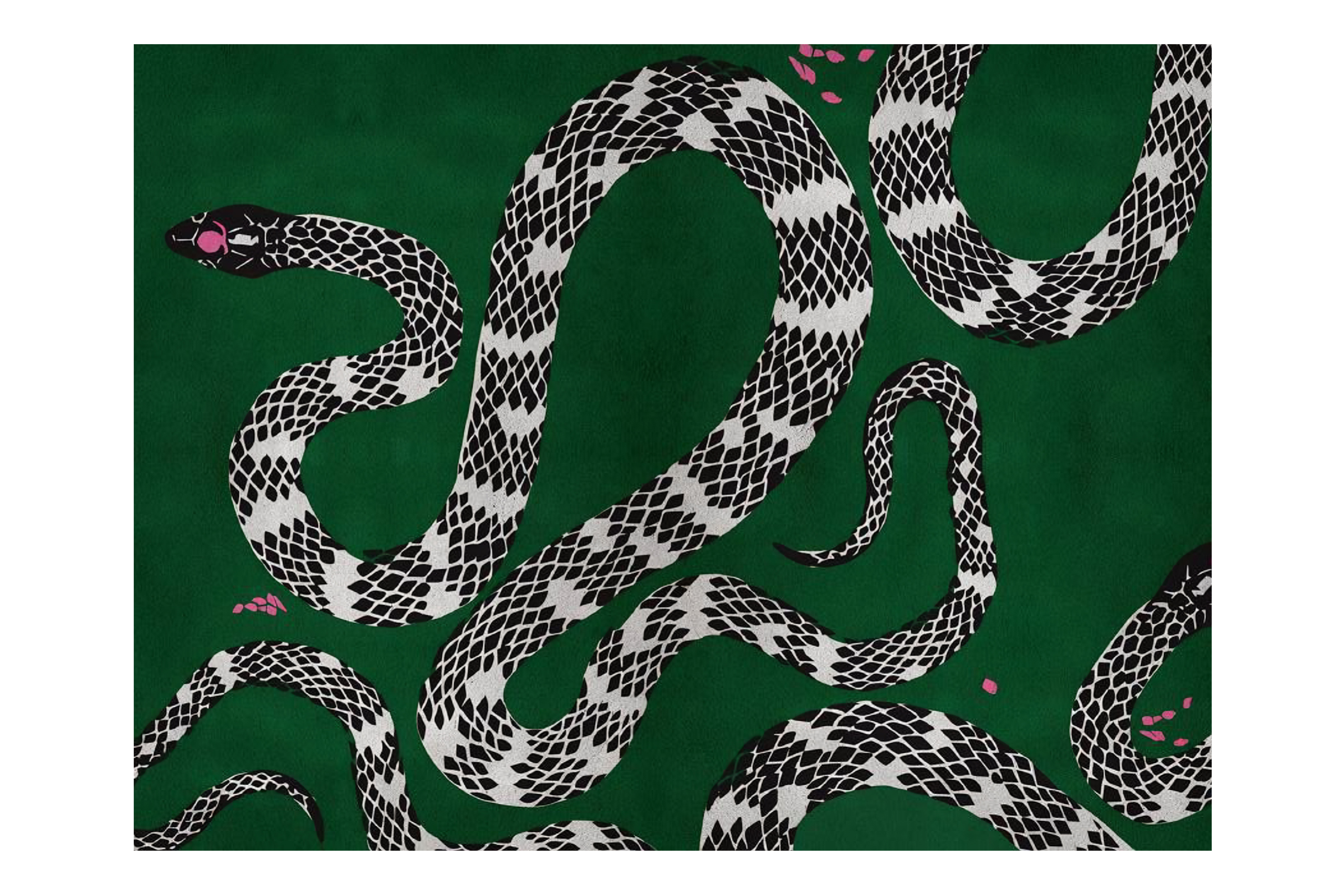 Snake Rug by Rug'Society