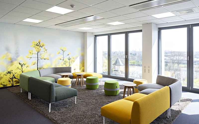 Neutral and colorful rugs ideas from the finest Frankfurt Interior Designers