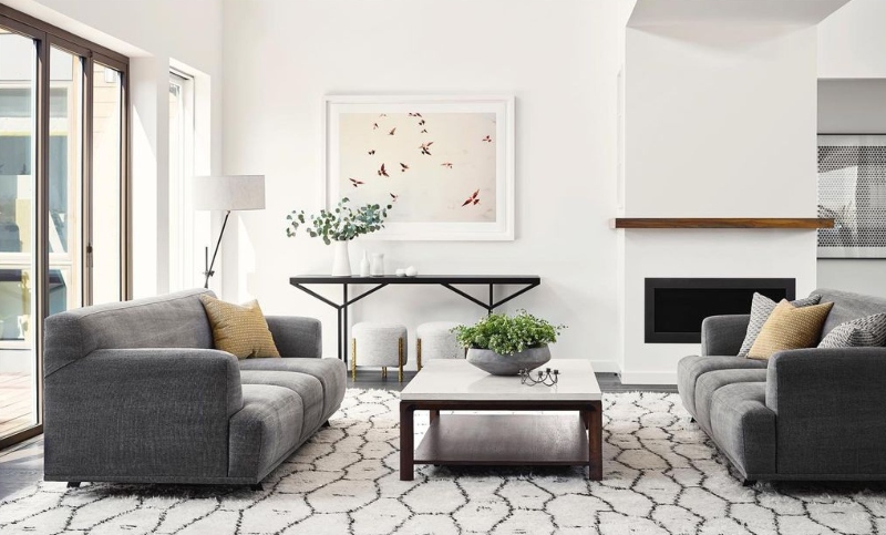 Best Rugs Inspiration in San Francisco, Our Top 20 Interior Designers
