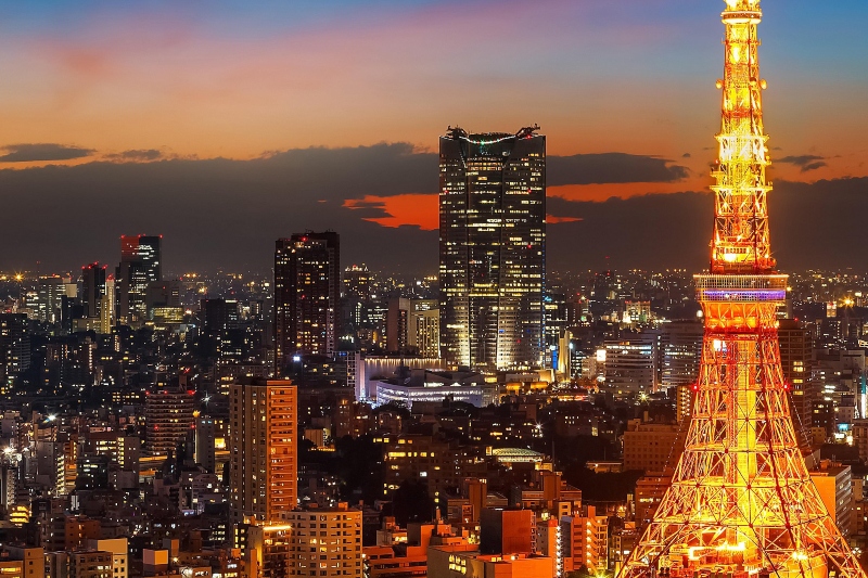 20 Spectacular Rugs Inspirations from Tokyo Interior Designers