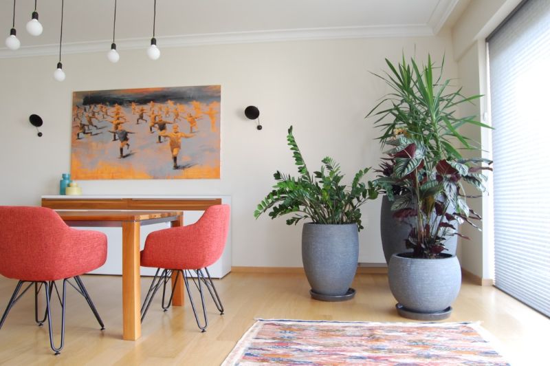 Most Stunning Rugs Trends from Brussels Interior Designers