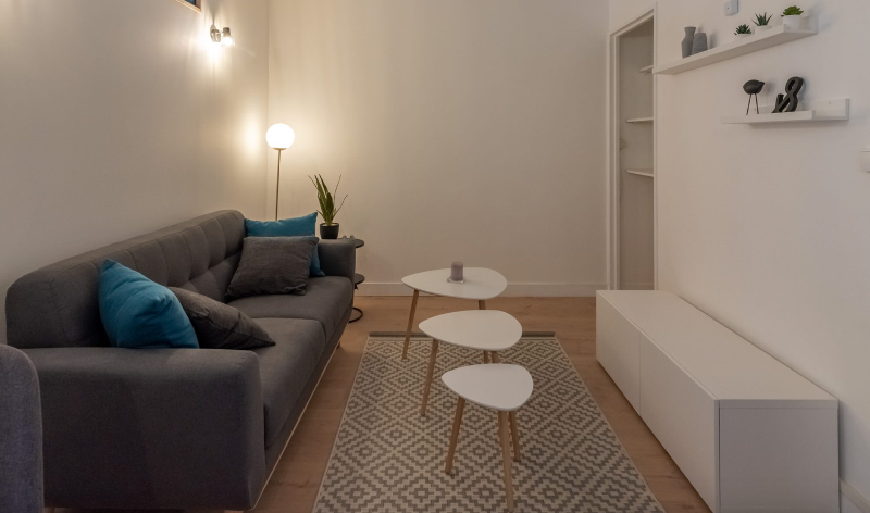 Lyon Interior Design Projects with Rugs