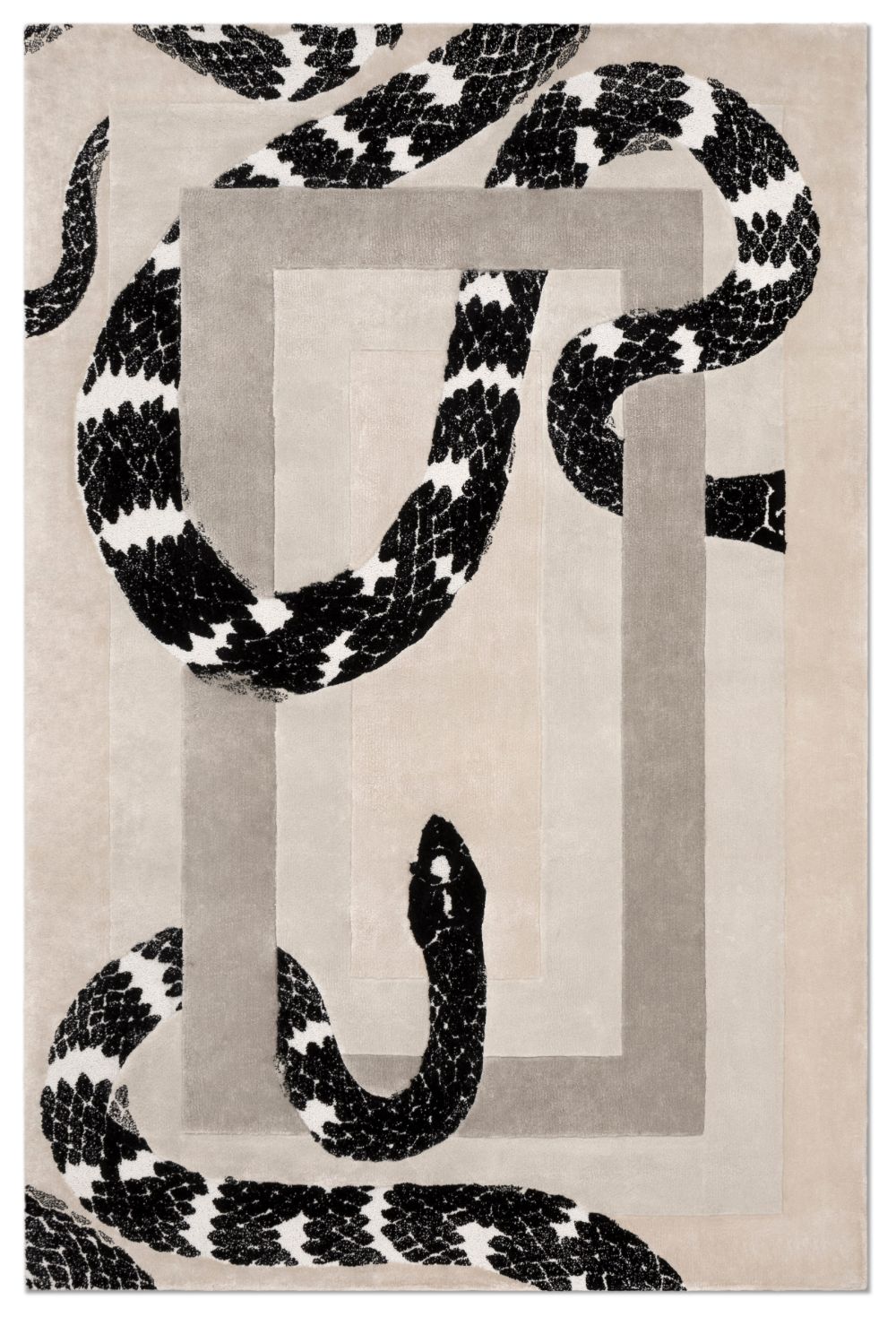 Rug Design Ideas for Hallways and Entryways