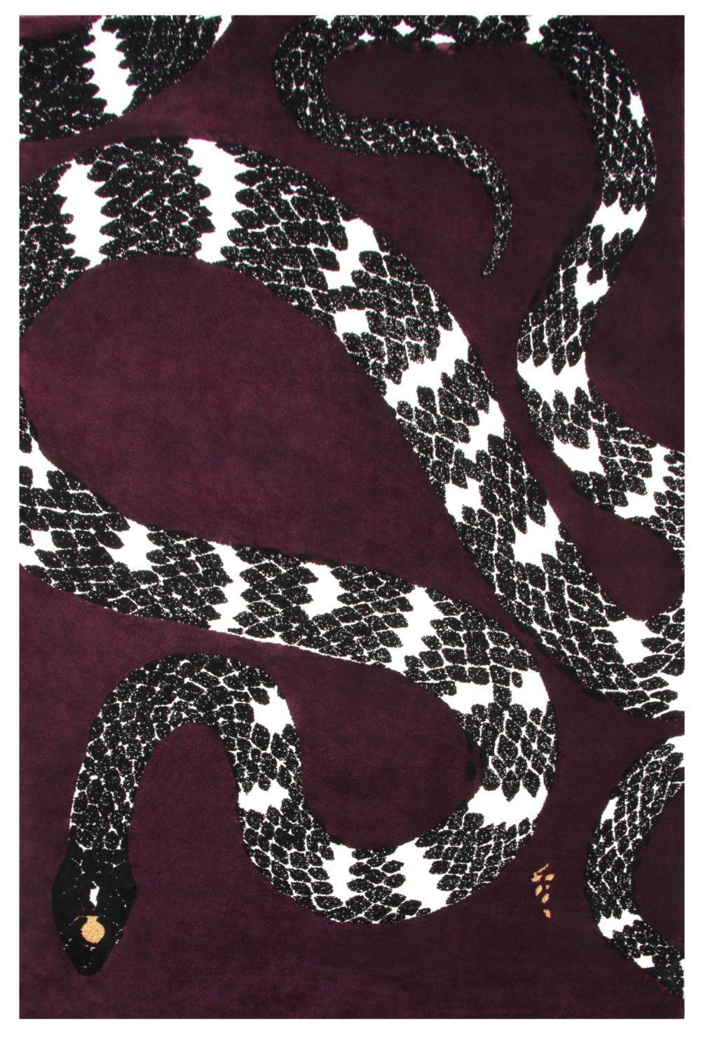 Rug Design Ideas for Hallways and Entryways