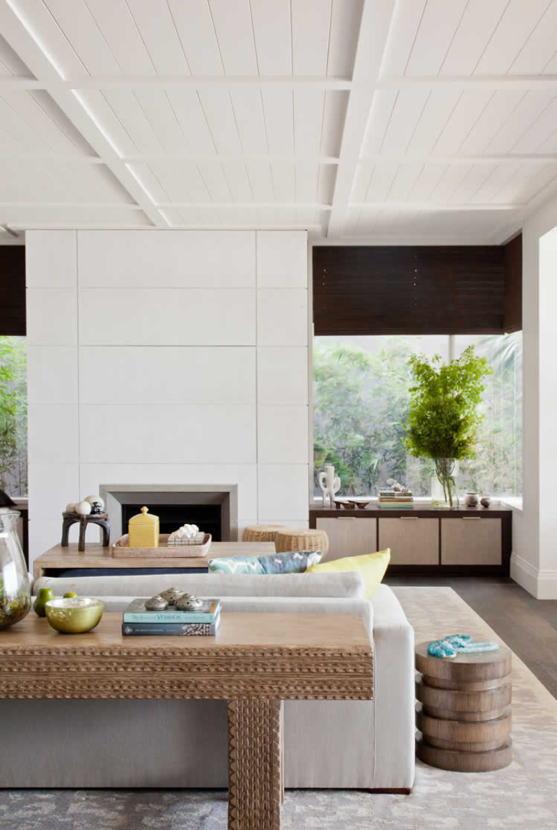 Living Room Carpet Ideas by Thomas Hamel and Associates