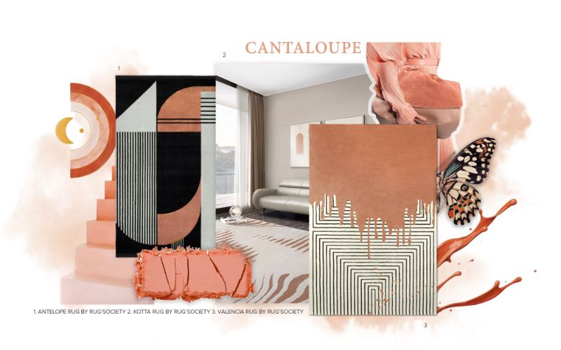 Moodboard Inspiration For The Fall with salmon pink hues