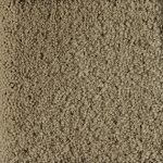 Embracing Sustainability: The Marvel of Regenerated Nylon Rugs