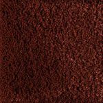 Embracing Sustainability: The Marvel of Regenerated Nylon Rugs