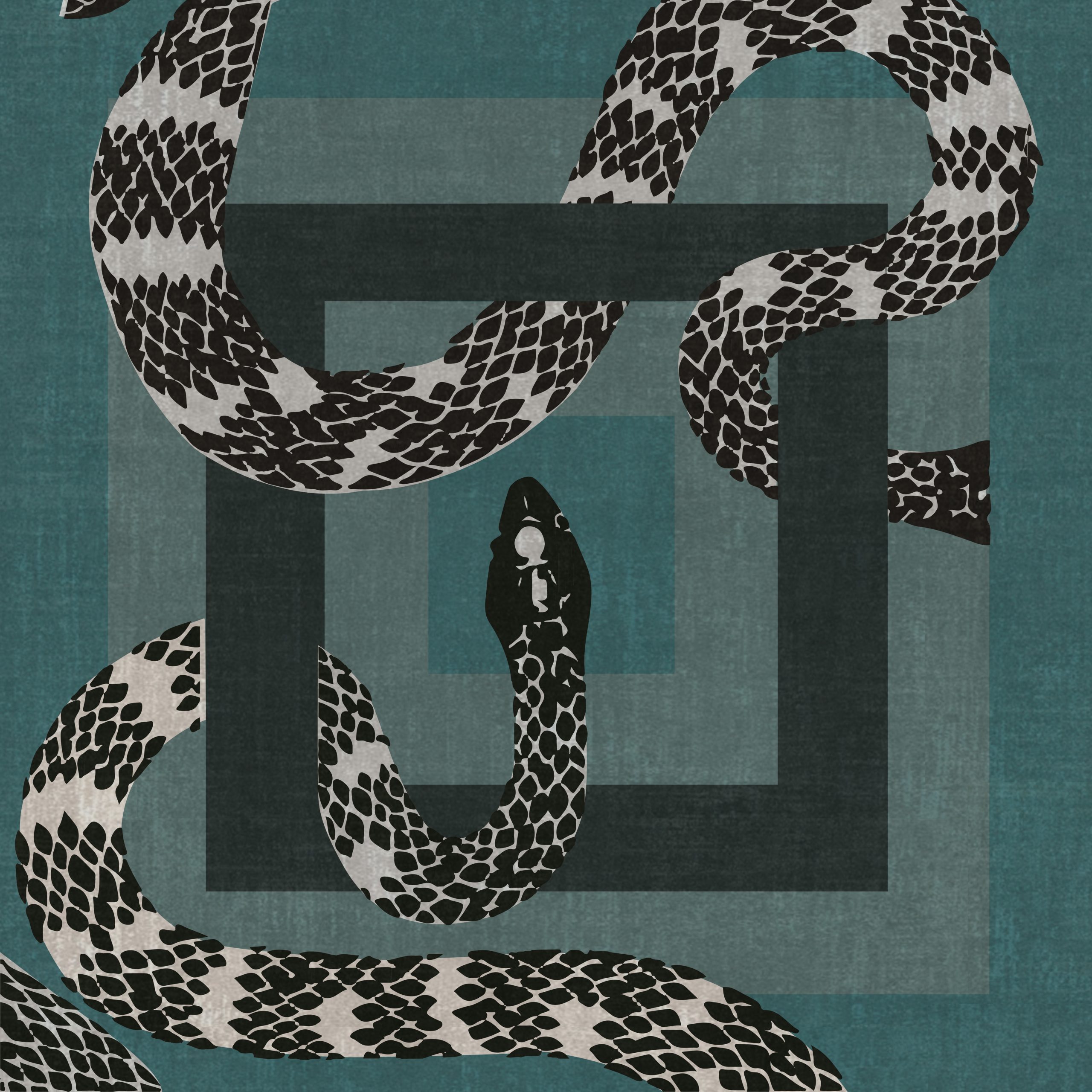 The Luxurious Charm of the Imperial Snake Rug